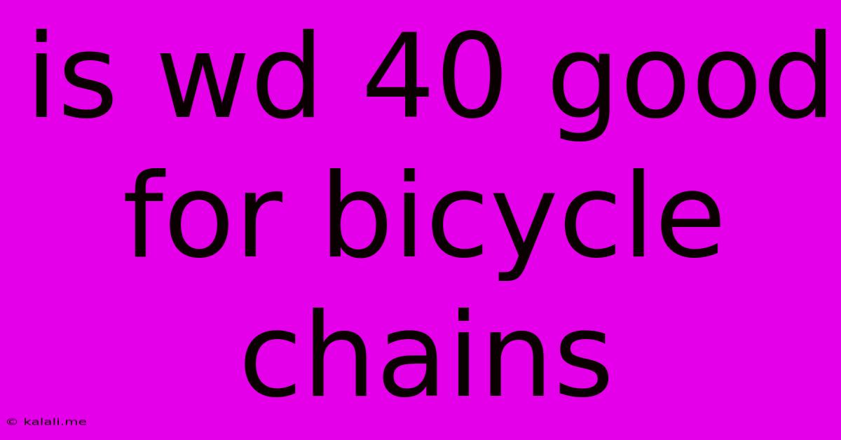 Is Wd 40 Good For Bicycle Chains