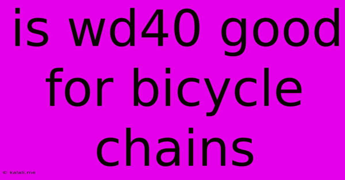 Is Wd40 Good For Bicycle Chains