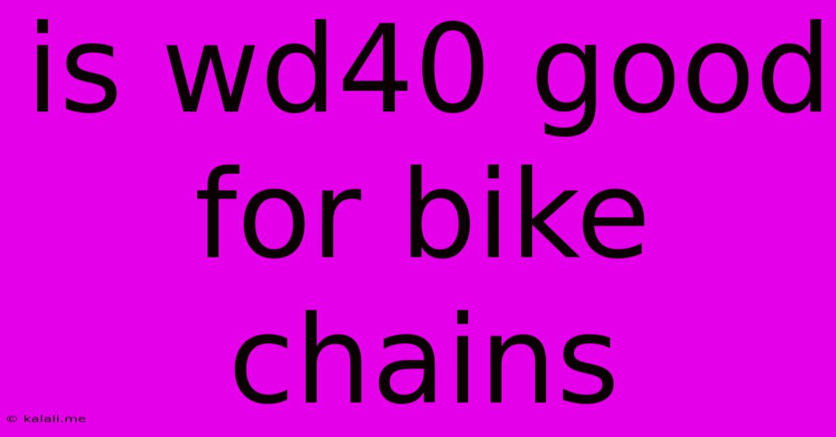 Is Wd40 Good For Bike Chains
