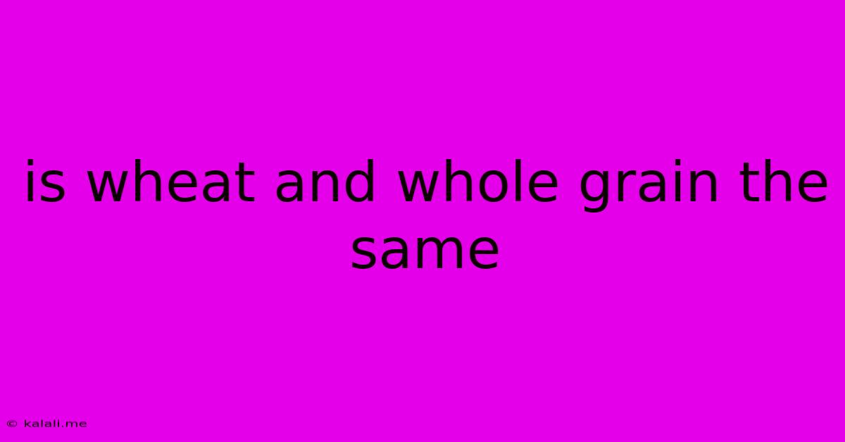 Is Wheat And Whole Grain The Same