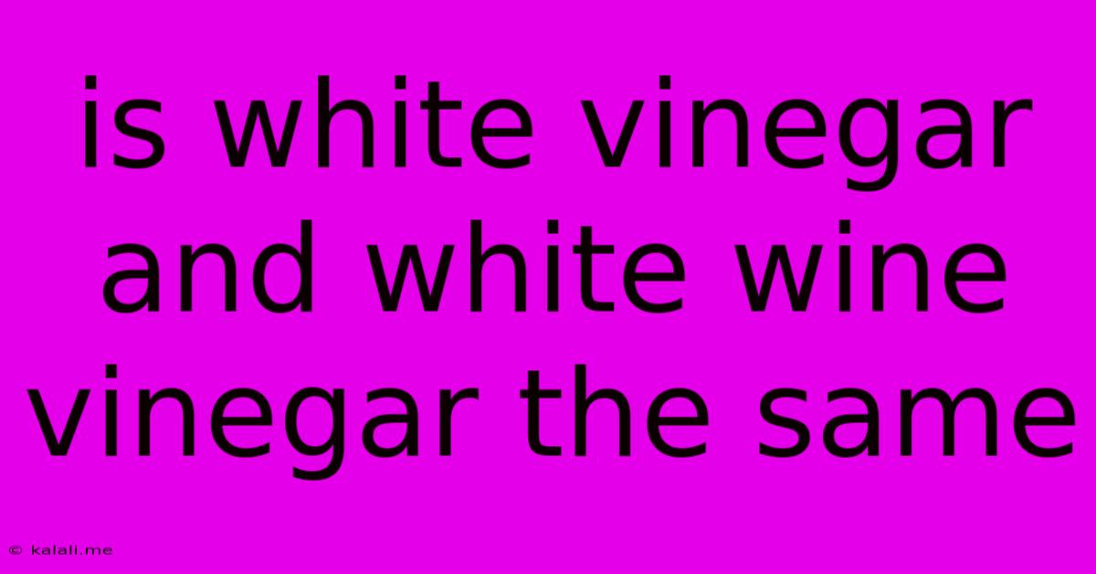 Is White Vinegar And White Wine Vinegar The Same