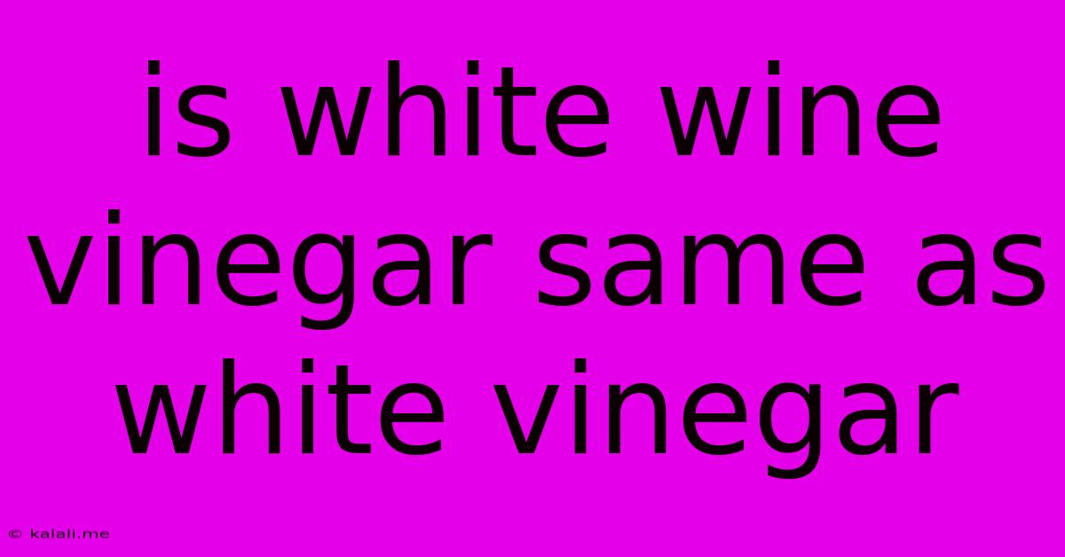 Is White Wine Vinegar Same As White Vinegar
