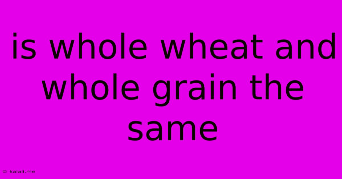 Is Whole Wheat And Whole Grain The Same