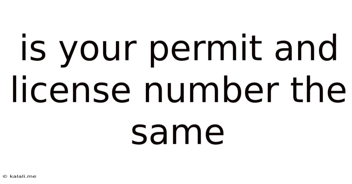 Is Your Permit And License Number The Same