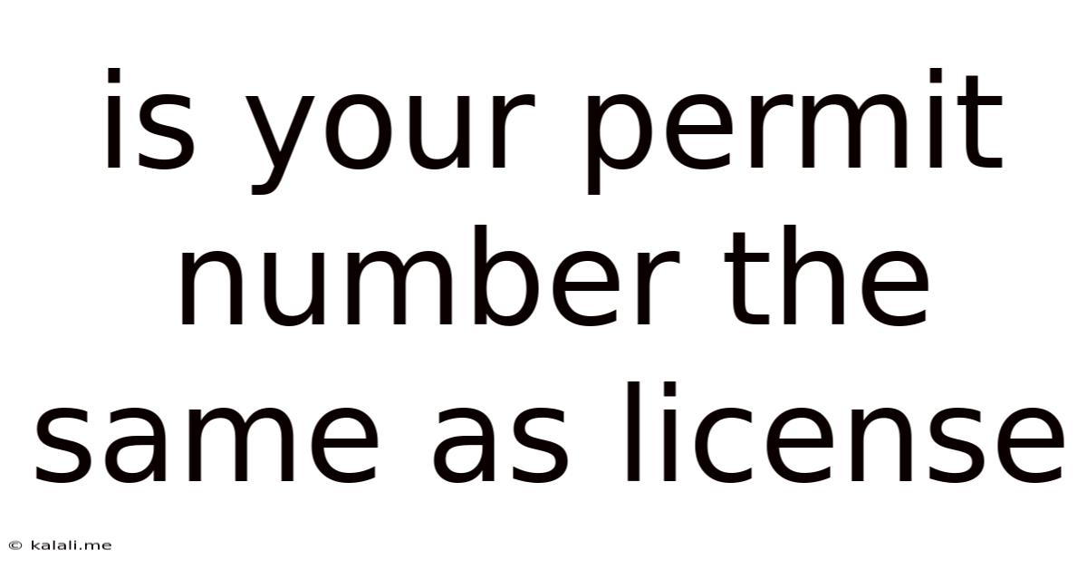 Is Your Permit Number The Same As License