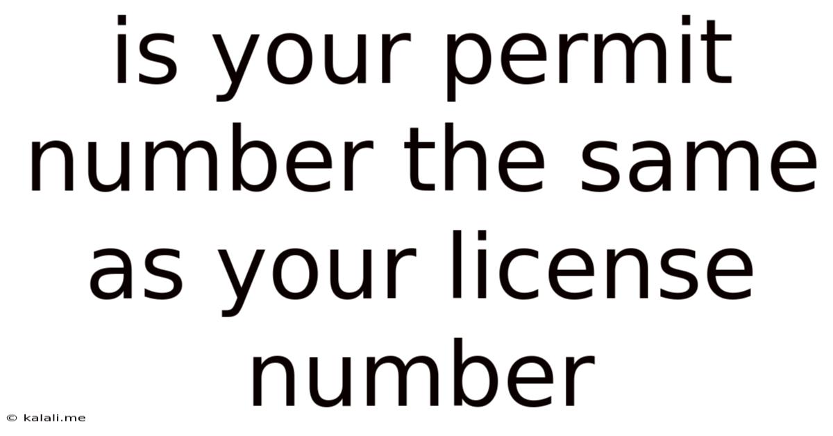 Is Your Permit Number The Same As Your License Number