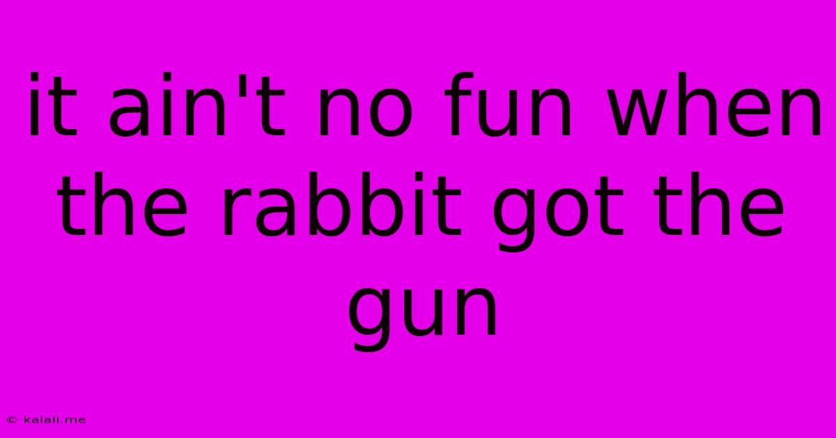 It Ain't No Fun When The Rabbit Got The Gun