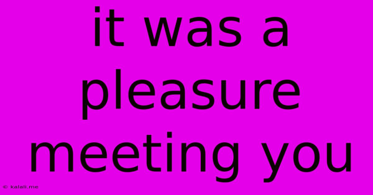 It Was A Pleasure Meeting You