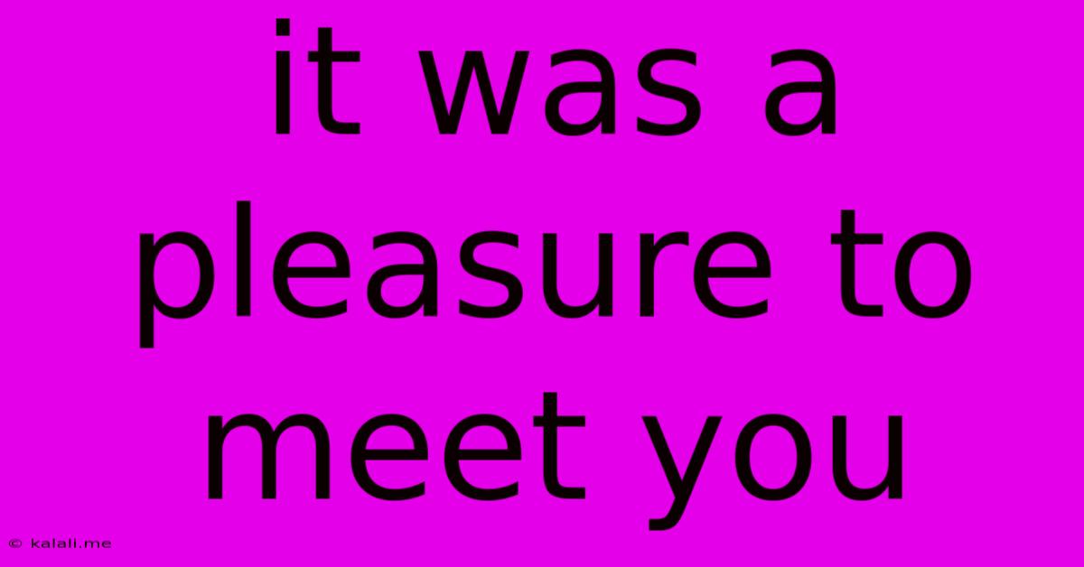 It Was A Pleasure To Meet You