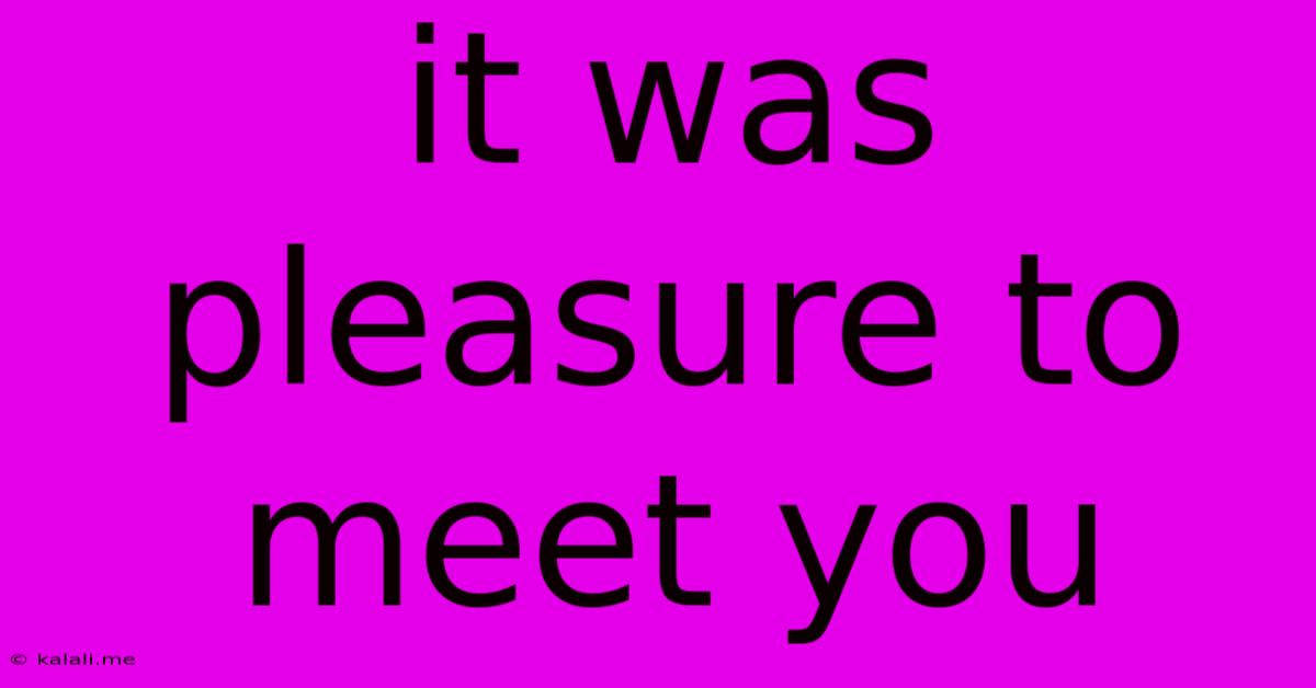 It Was Pleasure To Meet You