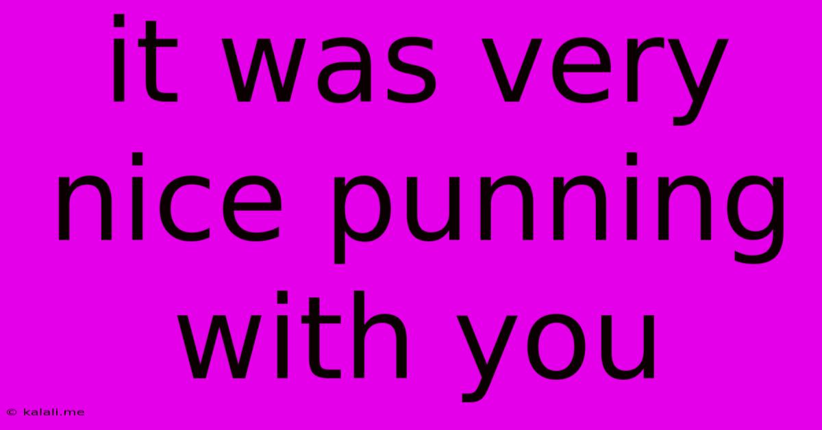It Was Very Nice Punning With You
