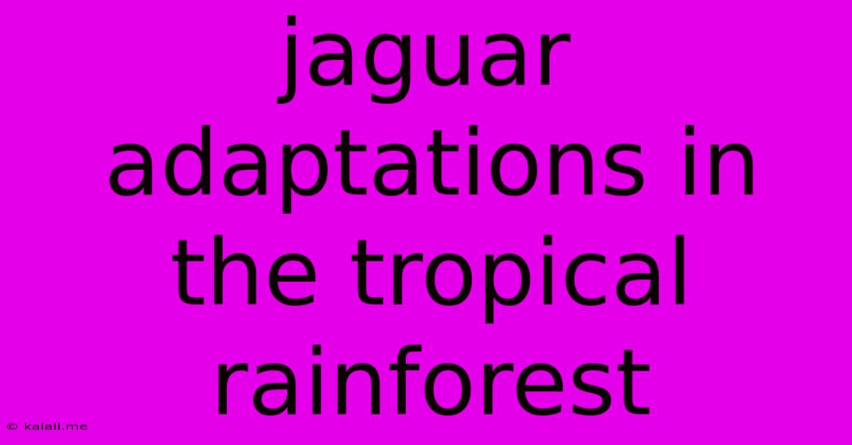 Jaguar Adaptations In The Tropical Rainforest