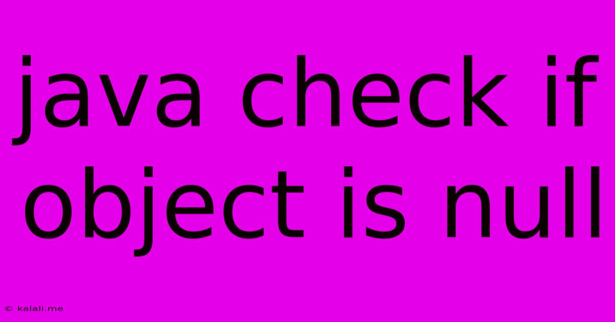 Java Check If Object Is Null