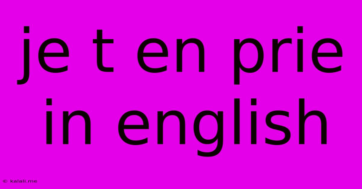 Je T En Prie In English