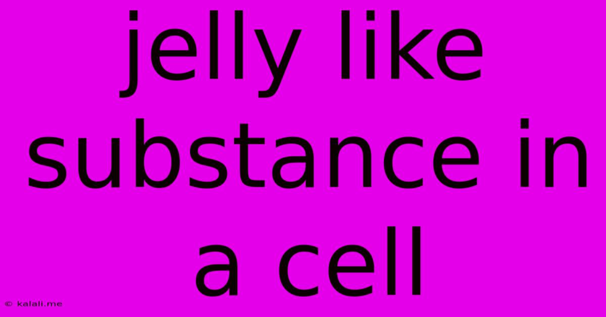 Jelly Like Substance In A Cell