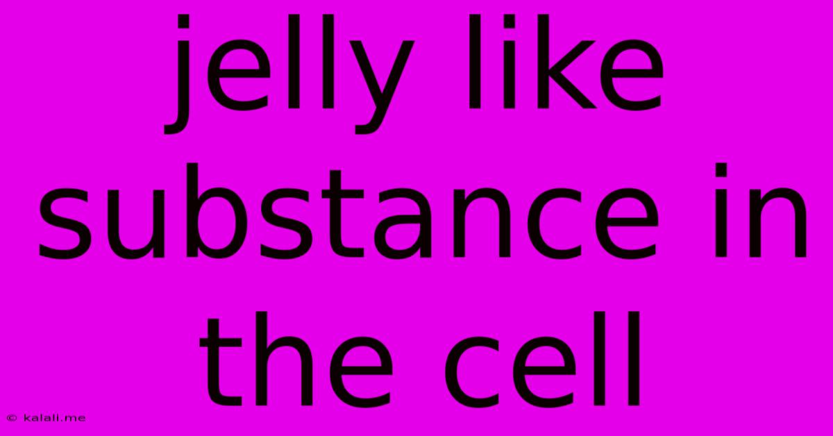 Jelly Like Substance In The Cell