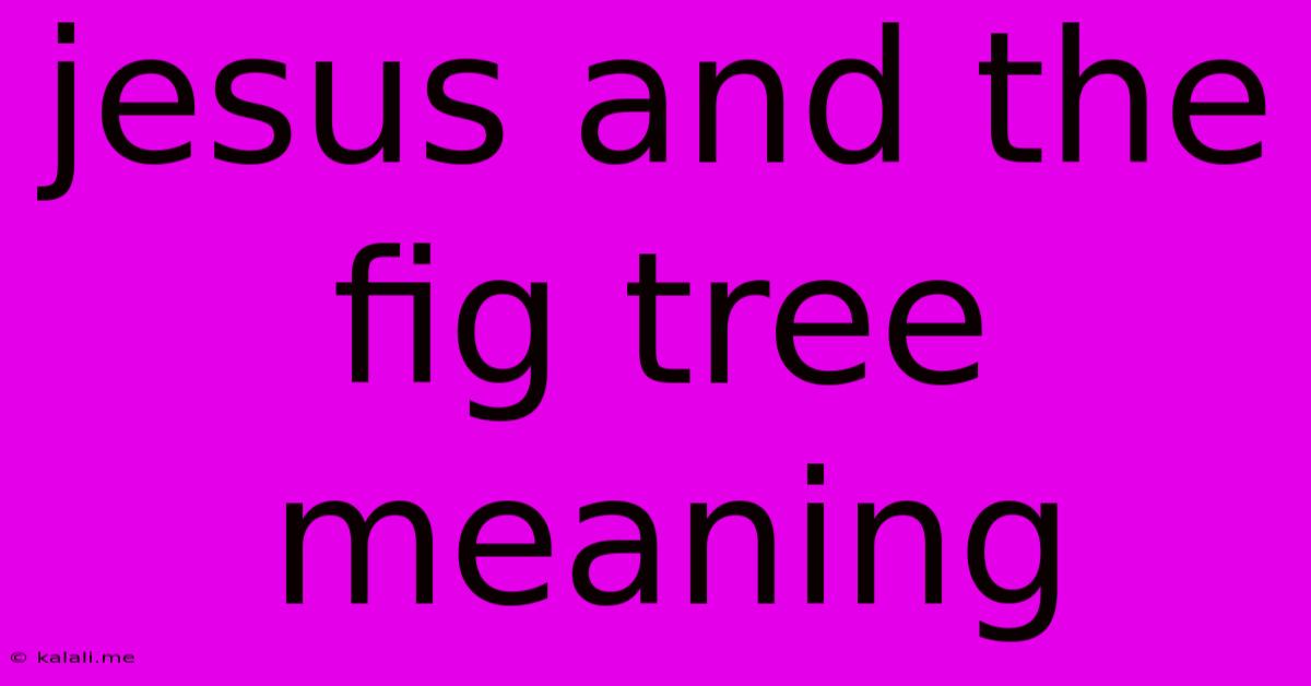 Jesus And The Fig Tree Meaning