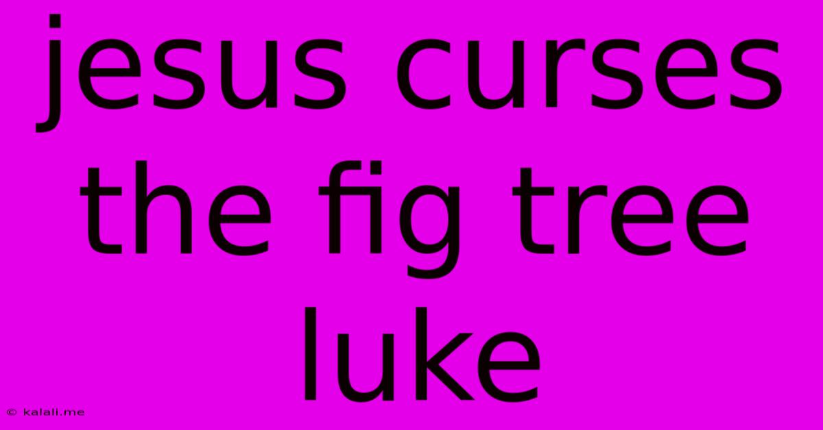 Jesus Curses The Fig Tree Luke