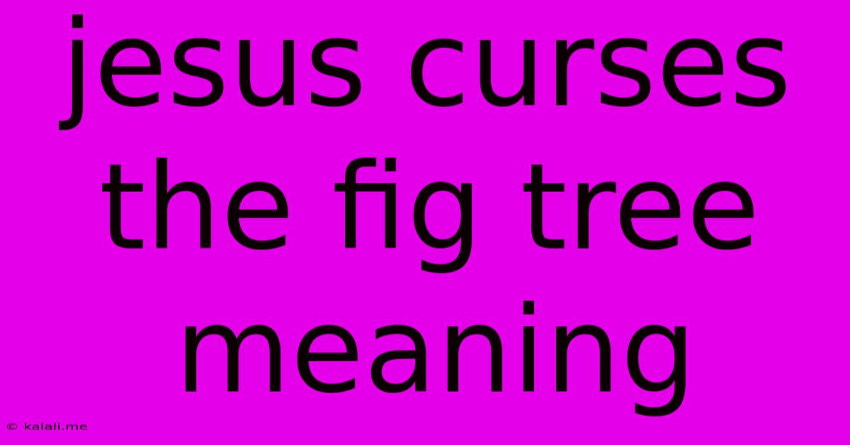 Jesus Curses The Fig Tree Meaning