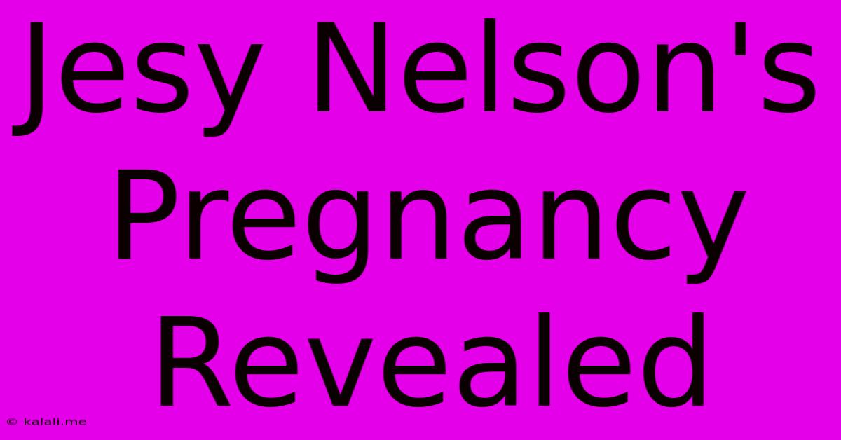 Jesy Nelson's Pregnancy Revealed