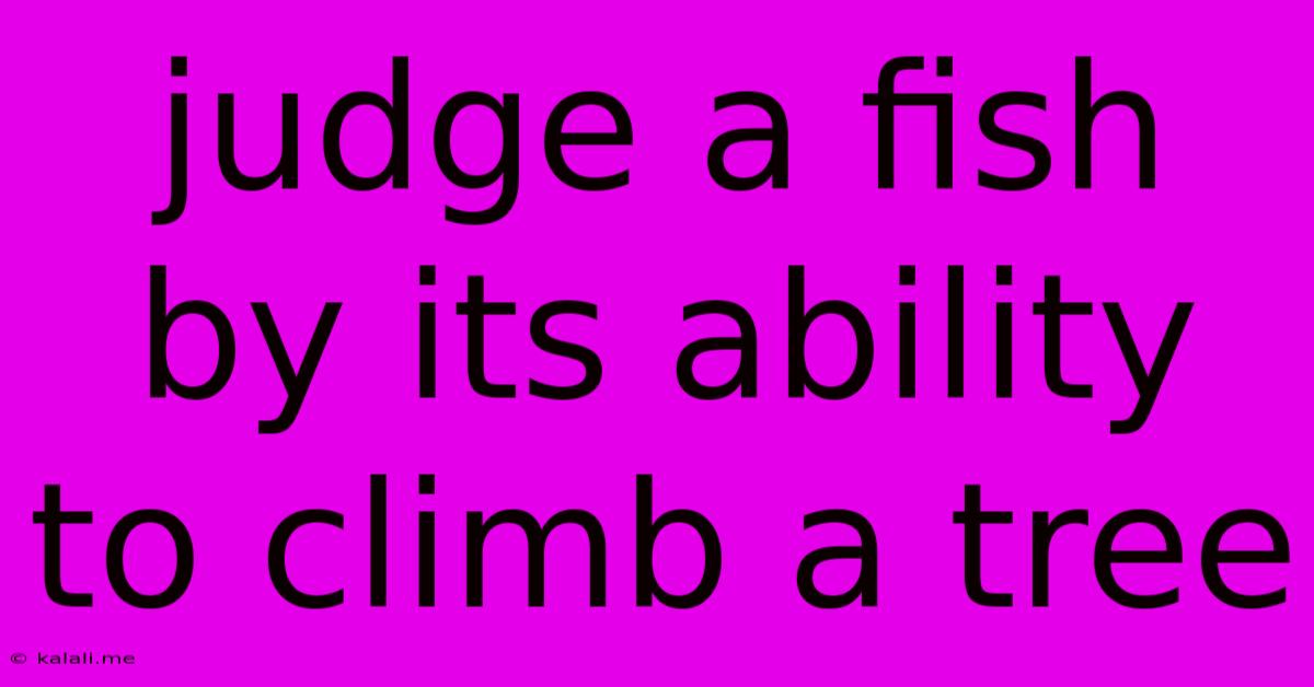 Judge A Fish By Its Ability To Climb A Tree