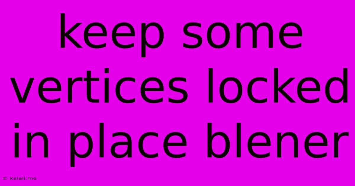 Keep Some Vertices Locked In Place Blener
