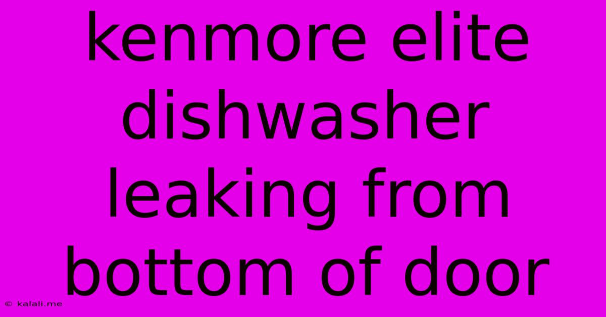 Kenmore Elite Dishwasher Leaking From Bottom Of Door