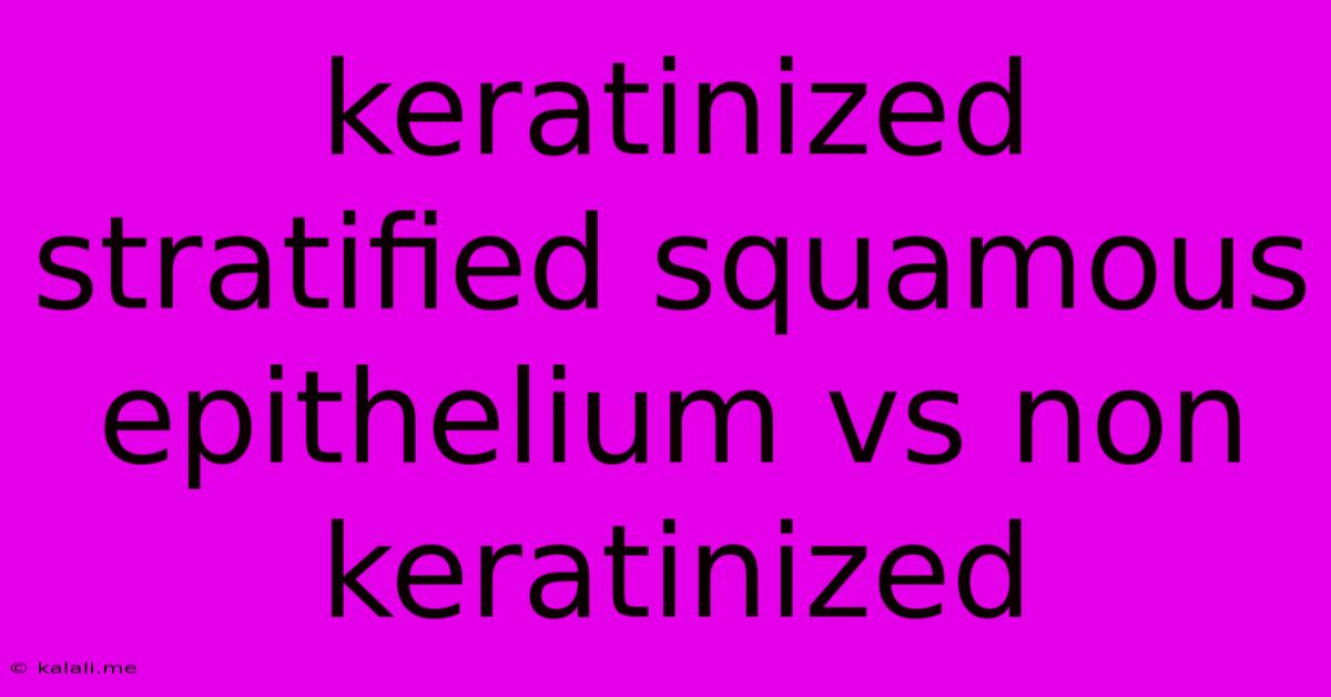 Keratinized Stratified Squamous Epithelium Vs Non Keratinized