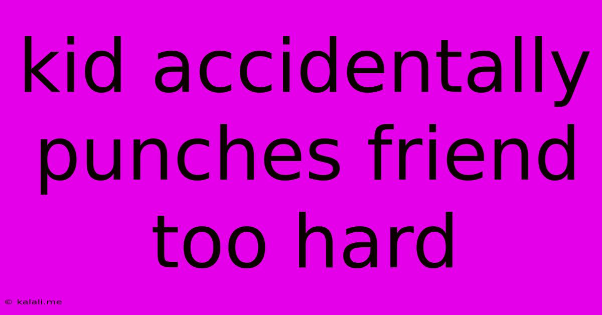 Kid Accidentally Punches Friend Too Hard