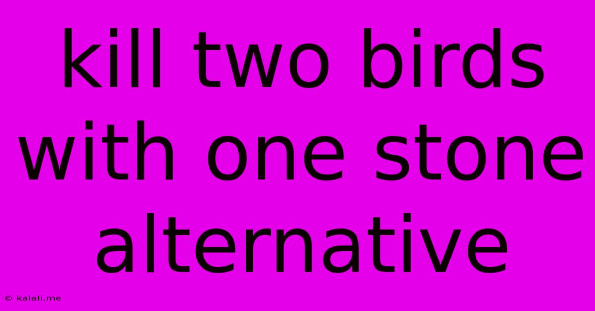 Kill Two Birds With One Stone Alternative