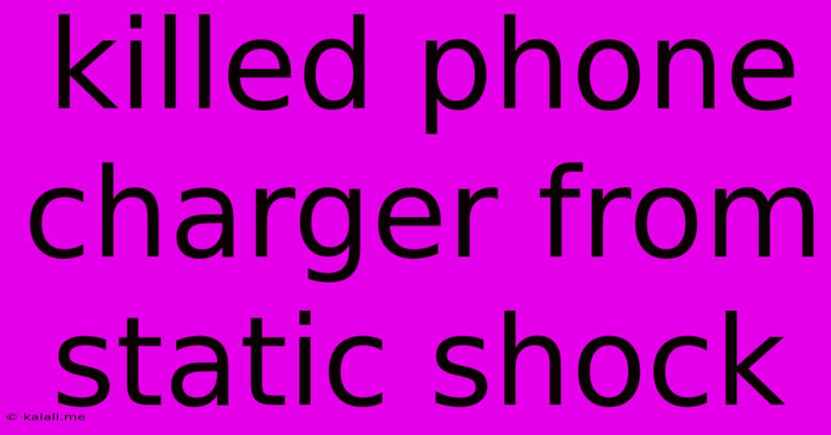 Killed Phone Charger From Static Shock
