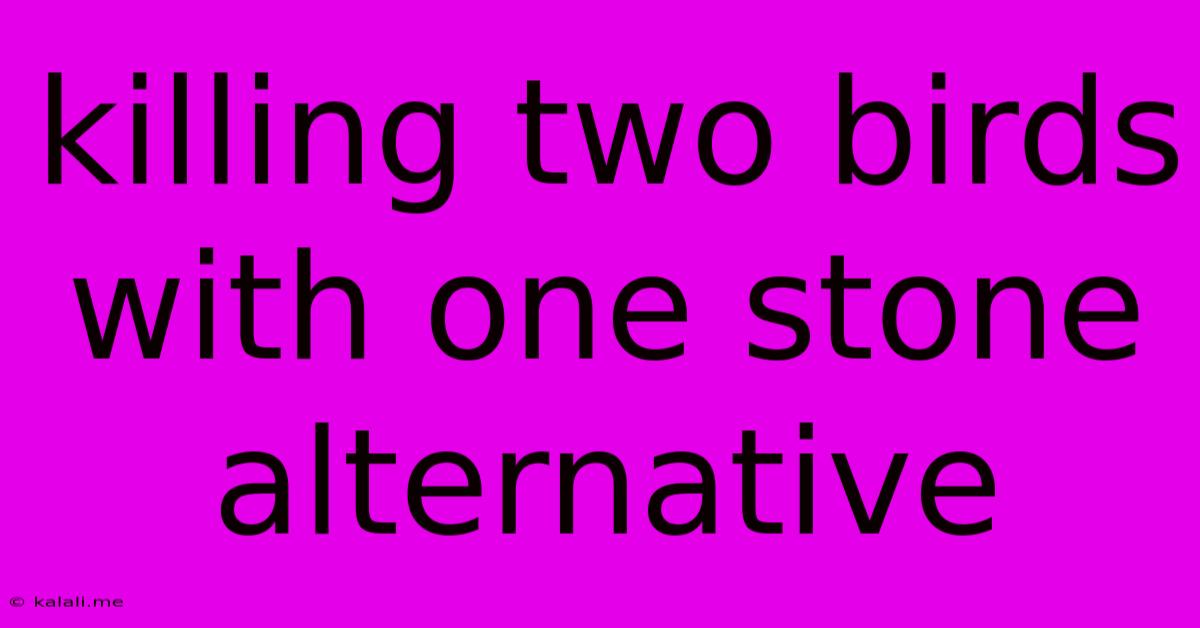 Killing Two Birds With One Stone Alternative