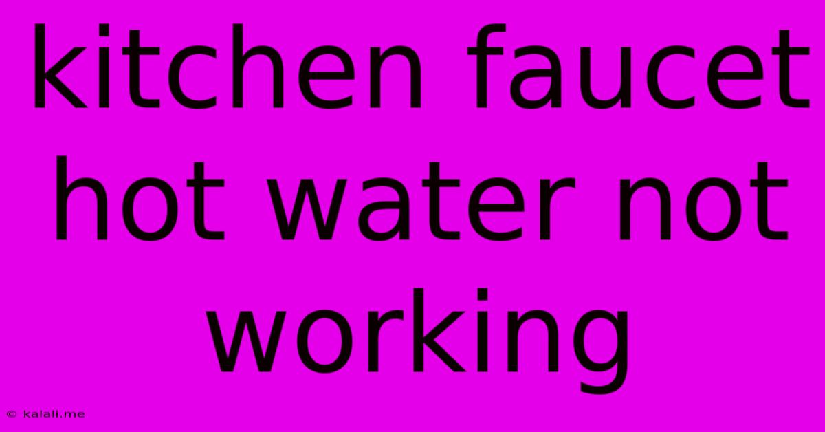 Kitchen Faucet Hot Water Not Working