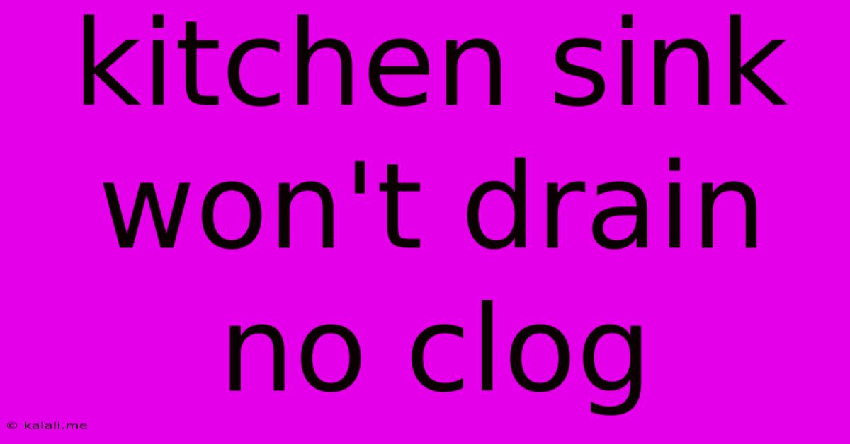 Kitchen Sink Won't Drain No Clog