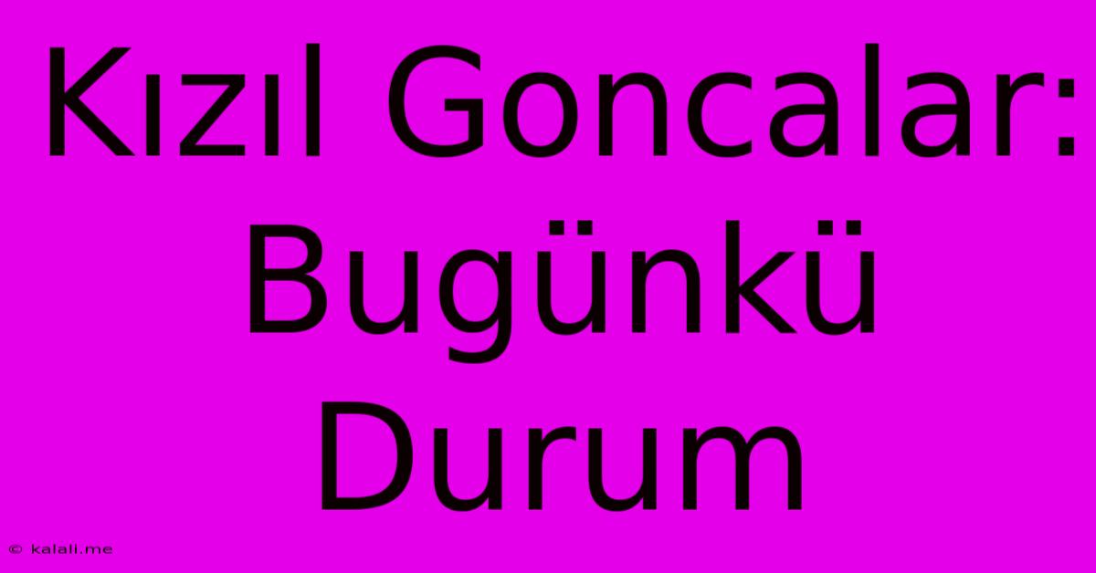 Kızıl Goncalar: Bugünkü Durum