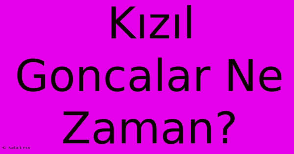 Kızıl Goncalar Ne Zaman?