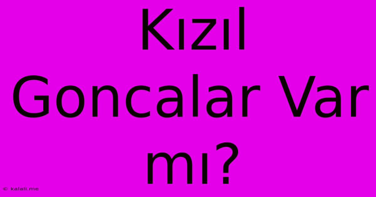 Kızıl Goncalar Var Mı?