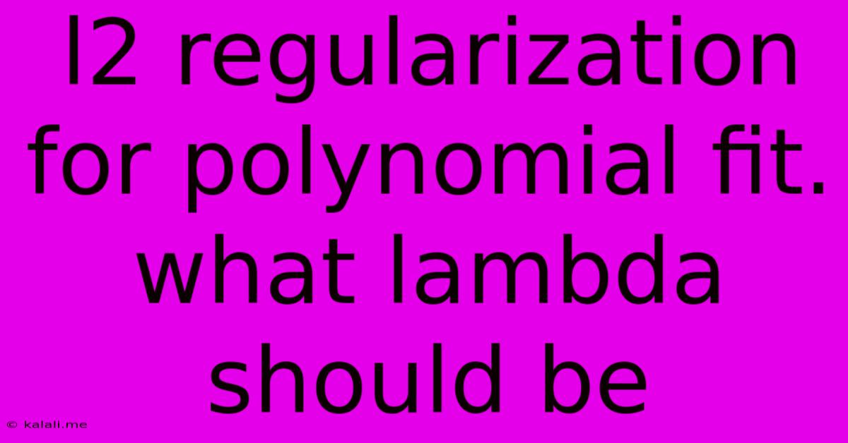 L2 Regularization For Polynomial Fit. What Lambda Should Be