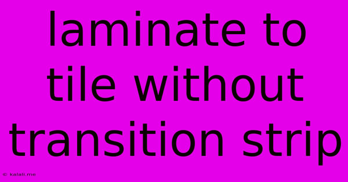 Laminate To Tile Without Transition Strip