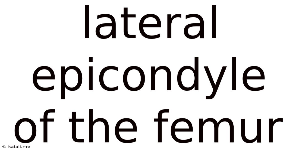 Lateral Epicondyle Of The Femur