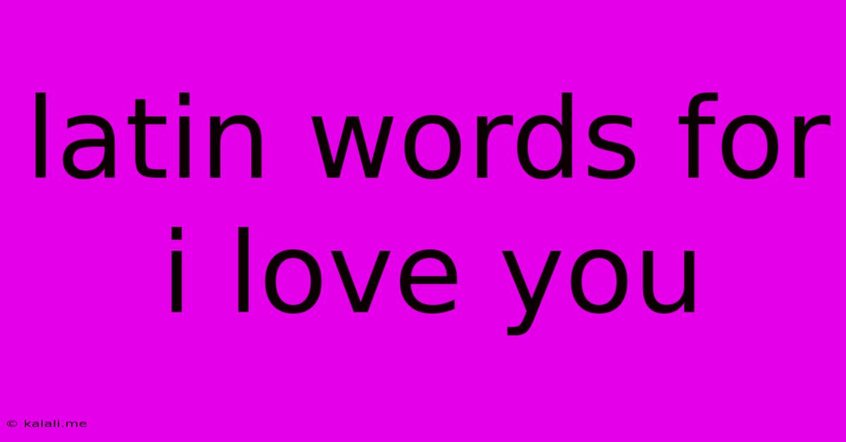 Latin Words For I Love You
