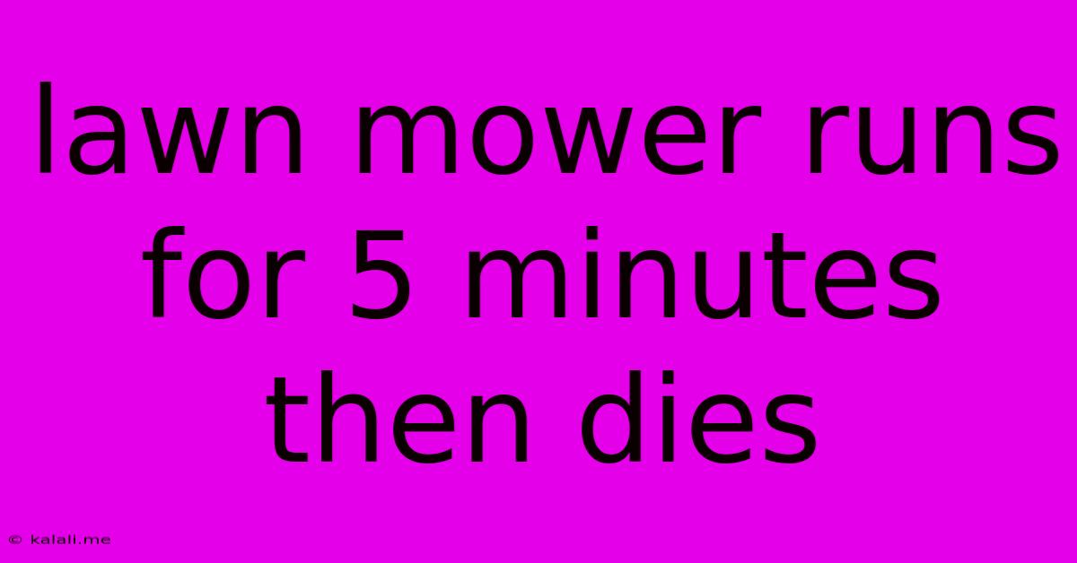 Lawn Mower Runs For 5 Minutes Then Dies