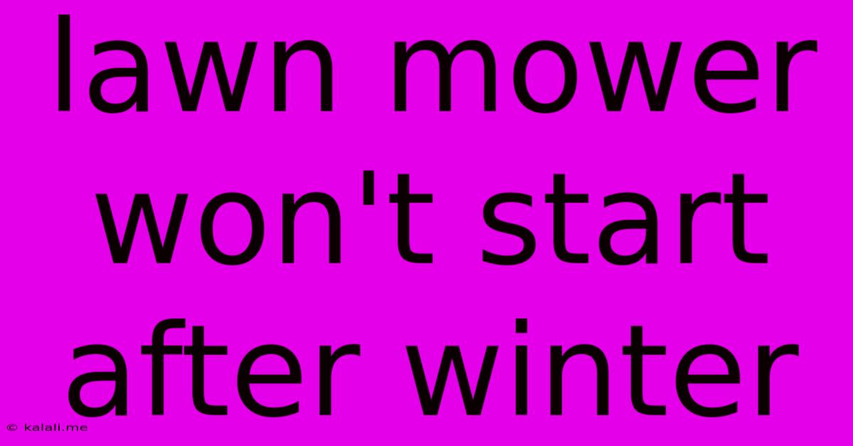 Lawn Mower Won't Start After Winter