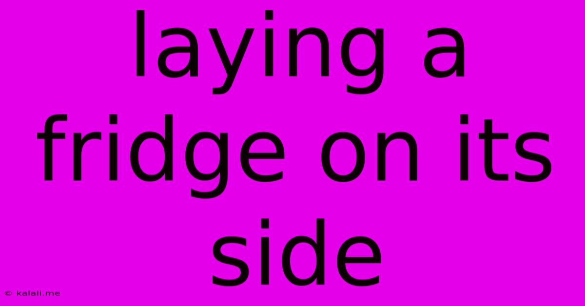 Laying A Fridge On Its Side