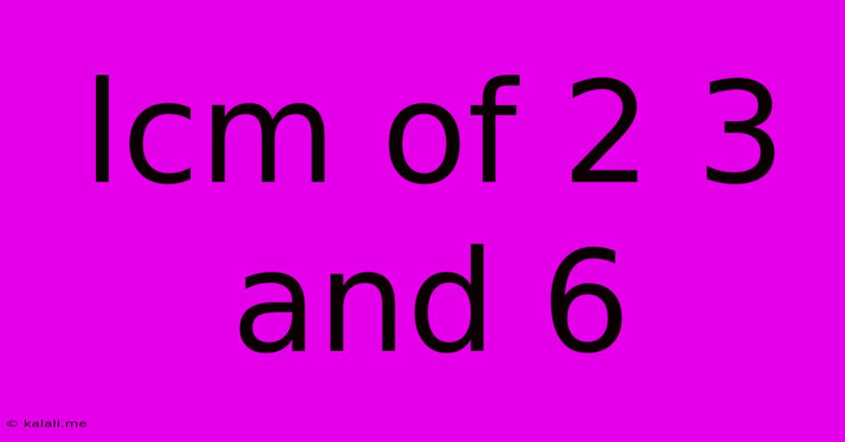 Lcm Of 2 3 And 6