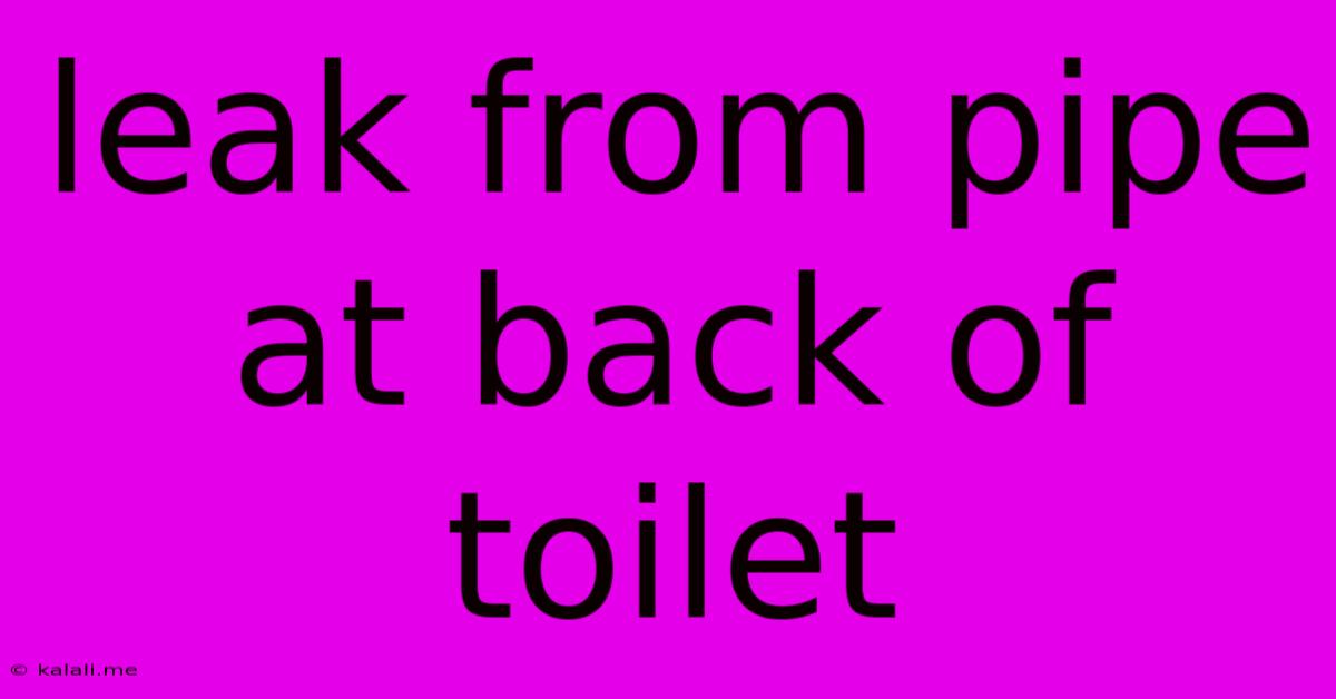 Leak From Pipe At Back Of Toilet