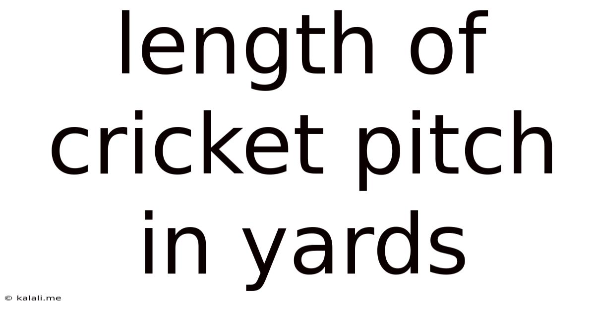 Length Of Cricket Pitch In Yards