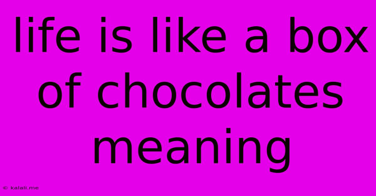 Life Is Like A Box Of Chocolates Meaning