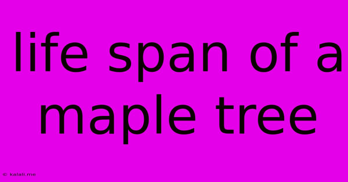 Life Span Of A Maple Tree
