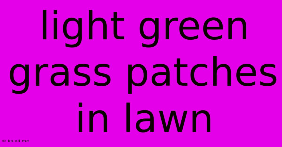Light Green Grass Patches In Lawn